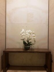 Hana (D10), Condominium #482796691